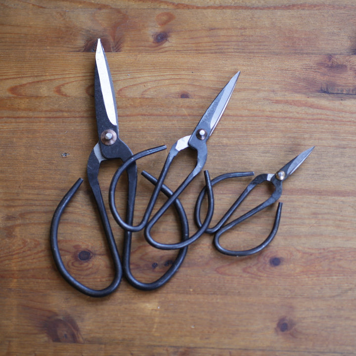 Scissors_ss-32x_IMG_8660-web