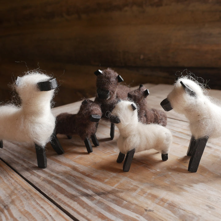 sheepP1210360